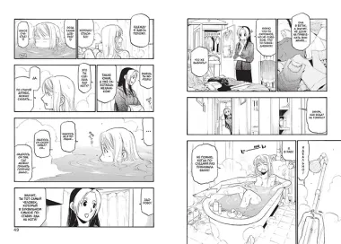 Стальной алхимик. Книга 14 (Fullmetal Alchemist). Манга