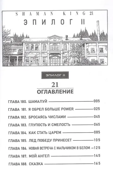 Король шаманов. Том 11 (Shaman King). Манга