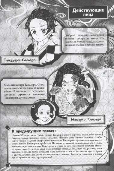Истребитель демонов. Том 12 (Клинок, рассекающий демонов / Demon Slayer: Kimetsu no Yaiba). Манга