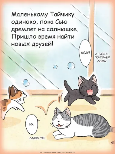 Сью и Тайчик. Том 5. Манга