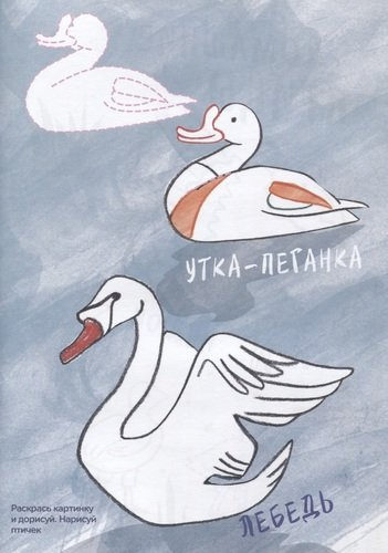 Креативная раскраска с наклейками Птицы (А4)