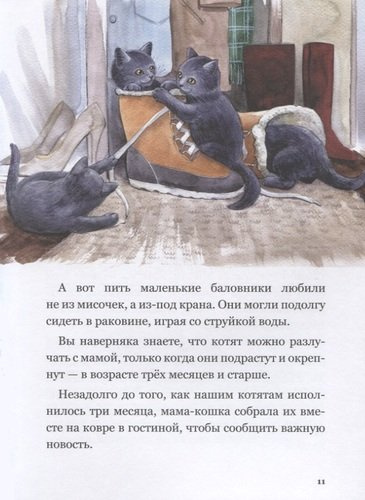 Приключения кота Альфреда