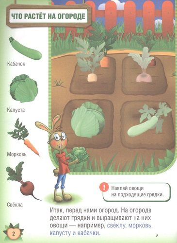 Фрукты и Овощи. (Обучающая Книжка с Наклейками).