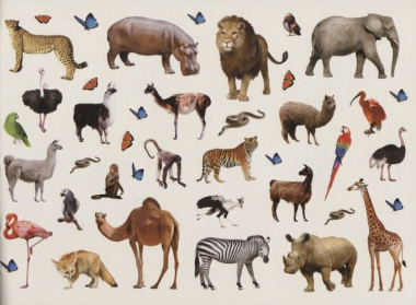 Книжка 250 наклеек «Животные со всего света»