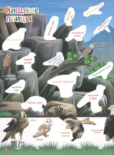 Мир птиц. В 2-х частях. 365 наклеек (комплект из 2-х книг)
