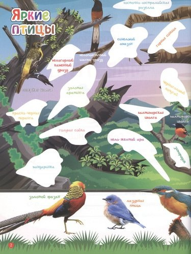 Мир птиц. В 2-х частях. 365 наклеек (комплект из 2-х книг)