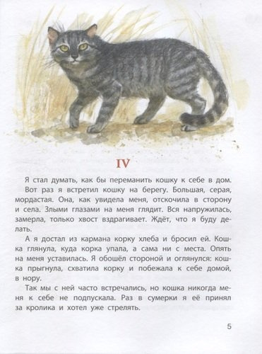 Обыкновенные кошки. Рассказы русских писателей