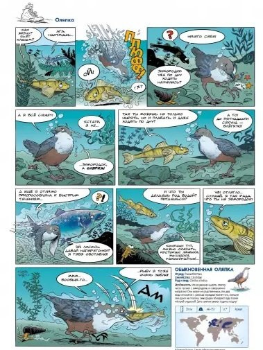 Птицы в комиксах. Том 3