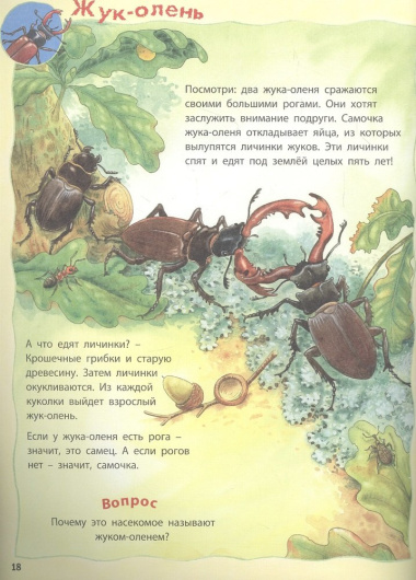 Как живут насекомые? Книжка-активити. Задания и головоломки + более 60 наклеек с животными