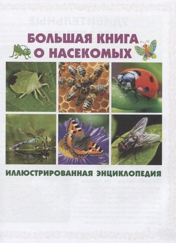 Большая книга о насекомых. Иллюстрированная энциклопедия