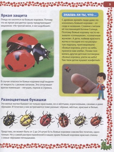 Большая книга о насекомых. Иллюстрированная энциклопедия