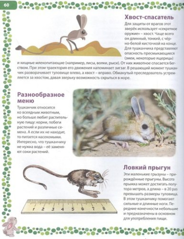 Животные России. Детская энциклопедия