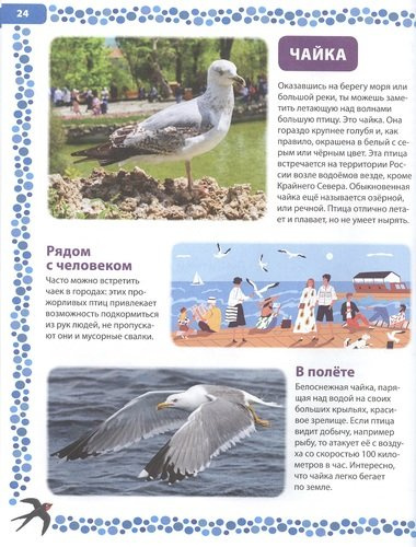 Большая книга о птицах. Иллюстрированная энциклопедия