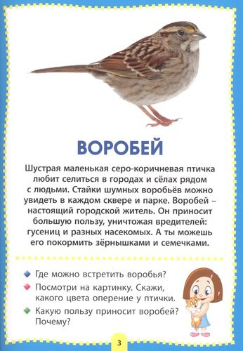 Птицы. Фотокнига для самых маленьких