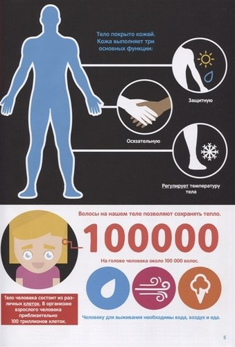 Тело человека: инфографика