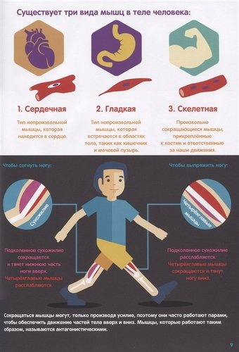 Тело человека: инфографика