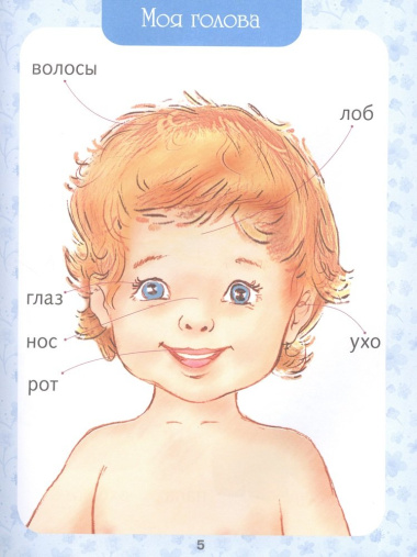 Первая книга малыша. Энциклопедия от 6 месяцев и старше