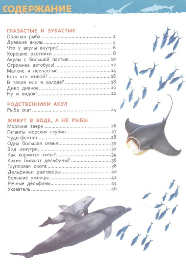 Акулы, киты и дельфины. Энциклопедия для детского сада