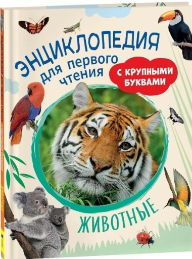 Животные. Энциклопедия для первого чтения с крупными буквами