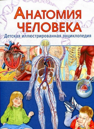 Анатомия человека.Детская иллюстрированная энциклопедия