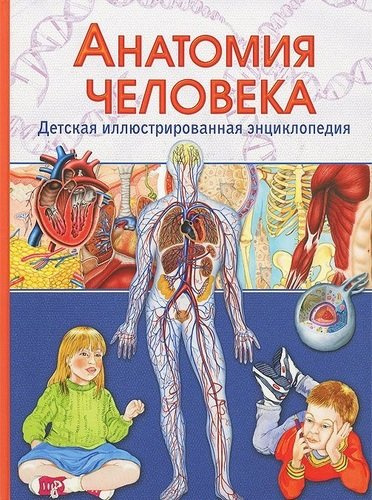 Анатомия человека.Детская иллюстрированная энциклопедия