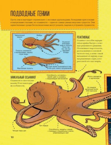 Энциклопедия животных: на суше, под водой и в воздухе
