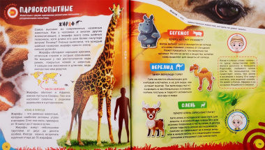 WOW! Динозавры. WOW! Животные. 4D Энциклопедии в дополненной реальности (комплект из 2 книг)