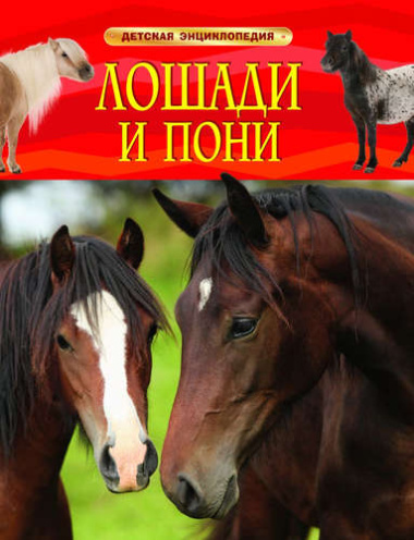 Лошади и пони