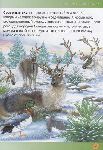Животные мира.Энциклопедия для детей(МЕЛОВКА)