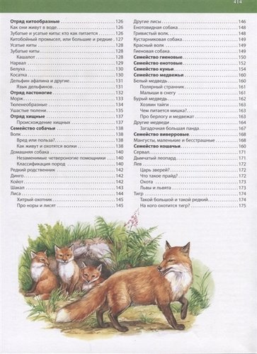 Первая энциклопедия животных для маленьких почемучек