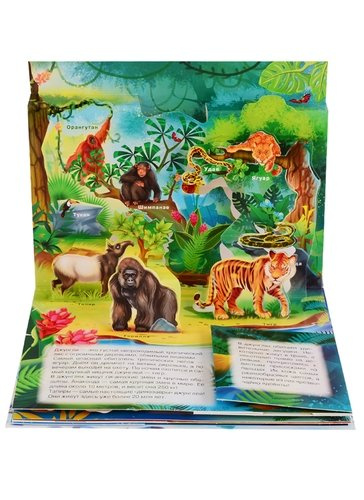 Животные. Книжка-игрушка. Объемная 3D энциклопедия