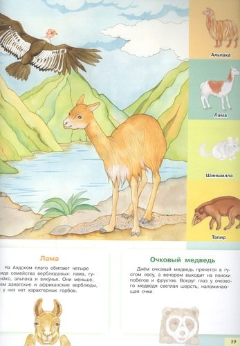 Царство животных. Моя первая энциклопедия с наклейками
