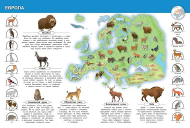 Животные нашей планеты. Моя первая энциклопедия с наклейками