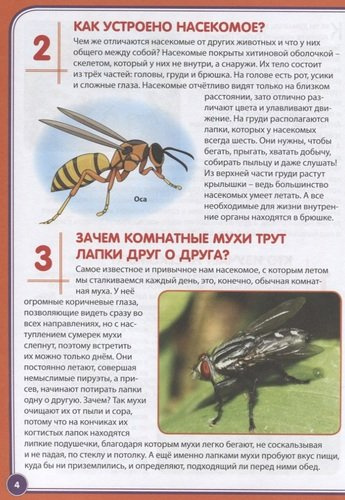 123 вопроса – 123 ответа. Царство насекомых