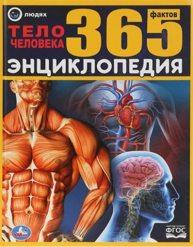 Тело человека. 365 фактов