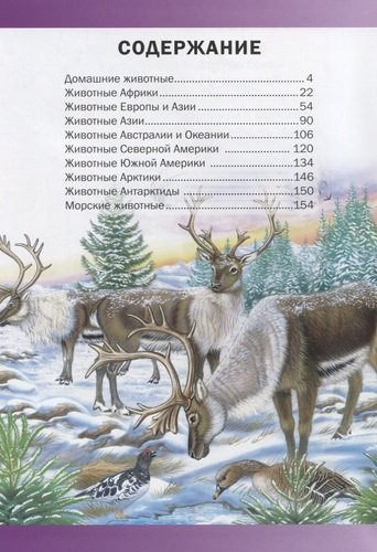 Лучшая энциклопедия животных для детей(МЕЛОВКА)