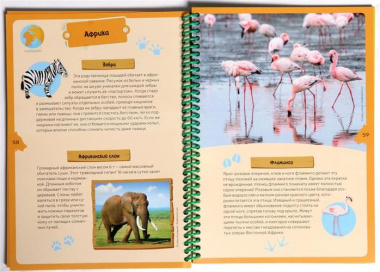 Животные планеты. Детская энциклопедия