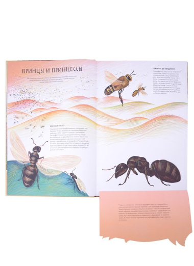 Королевство насекомых. Интерактивная книга с окошками о жизни муравьёв, ос и пчёл