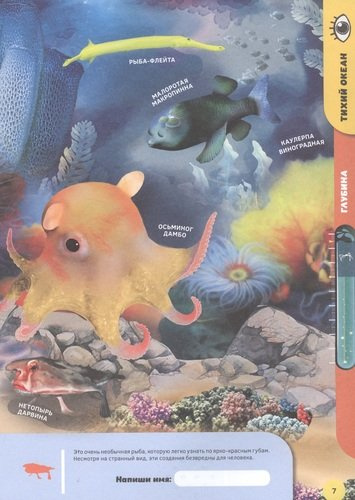 Подводные жители. 4D книга