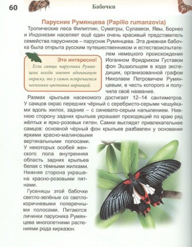 Бабочки. Энциклопедия