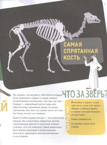 Поразительные животные: кости и скелеты