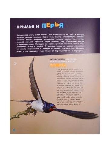 Энциклопедия с фото и видео-приложениями. Птицы