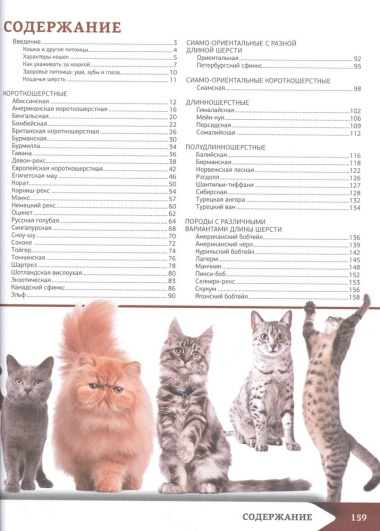Самая лучшая иллюстрированная энциклопедия. Кошки