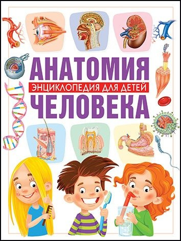 Анатомия человека.Энциклопедия для детей