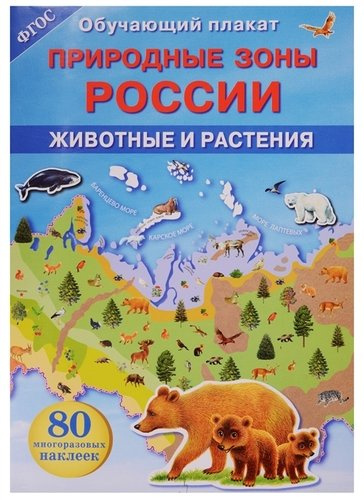 Природные зоны России. Животные и растения