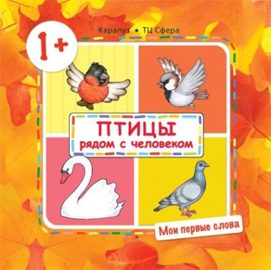 Птицы рядом с человеком (для детей от 1-3 лет)