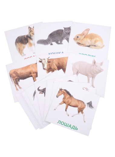 Развивающие карточки для детей. Домашние животные (20 карточек)