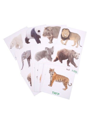 Развивающие карточки для детей. Животные мира (20 карточек)