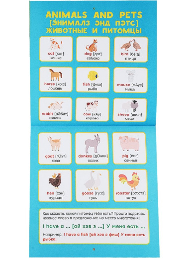 Английский язык для детей. Все плакаты в одной книге: 11 больших цветных плакатов