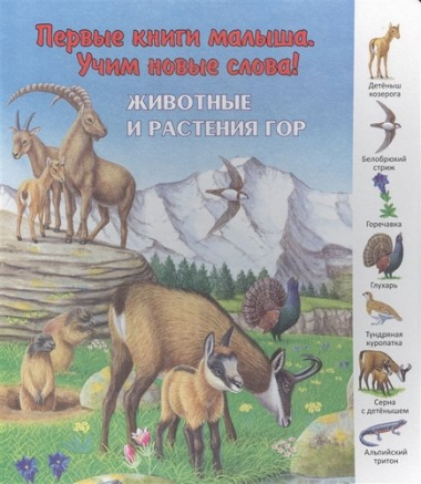 Животные и растения гор (ПерКнМалУчНовСл) (картон) Комарова